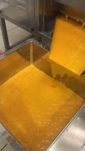 Mango Juice extractor Mango pulper Machine By Anjoplus Machines