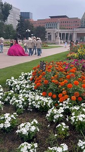 29K views · 151 reactions | Los 15 Años De yajaira Arreguin ochoa en boulder colorado | FotoStudio Hernández | Facebook