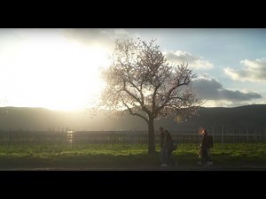 Mandelblüte Pfalz - Wandern auf dem Pfälzer Mandelpfad