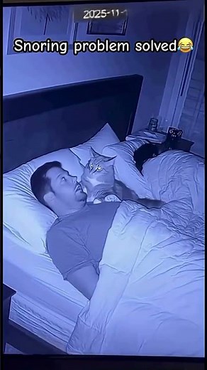 Sleep at Your Own Risk… Cat Edition 😹