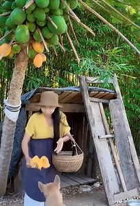 1.1M views · 10K reactions | Enjoy Natural Life With Beautiful Garden | University Secret Files | Facebook