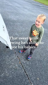 103K views · 4.1K reactions | Every day I pick him up from school, he asks to see his babies before we drive home. #siblings #brotherandsister #triplets #toddler #fyp  : knightpartyof7 | Some Good Moment | Facebook