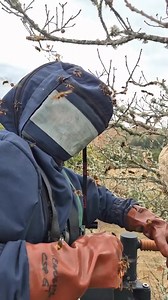 Intervention destruction d'hymenoptère🐝🐝 Écoute le bruit 😱 Tu as des phobies ? . . . . . . #strike #pompiers #firefighter #bombero #frelon - - - #strike #firefighter #pompier #bombero #pompiers #bomberos #sport #humour #morpion #corde #transition #travel #defi #sauvetage #jsp #feu #jeu #voyage #trend #chili #calendrier #secourisme #dih #hélicoptère #toulon #feuerwehr #santiago #Chili #valparaiso #marinpompier | Strike workout