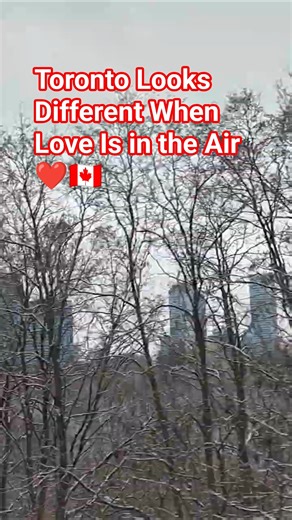 Toronto Romance#shorts#youtube #asmr#trending#travel#viral#trending#toronto#love#lovemusic#music#ZEN