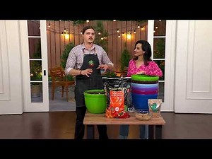 Roberta's Sungro 16 Qt Natural Organic Potting Mix on QVC