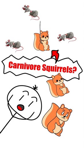 Just A Stick on Instagram: "Squirrels have always been seen as cute, harmless creatures that live on nuts and seeds. But recent research has revealed a shocking twist — California ground squirrels have been observed hunting and eating other animals. For the first time, scientists documented squirrels actively stalking, chasing, and biting voles, sometimes killing them and feeding on their flesh. This behavior was recorded during a long-term study, where nearly half of squirrel–vole encounters en