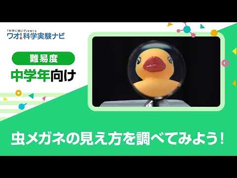 実験レシピ 虫メガネのヒミツ！