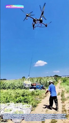 Aerial Harvest: Drone-Delivered Watermelons to the Fields