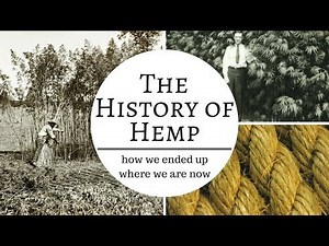 The History of Hemp (10,000 years in 10 minutes)