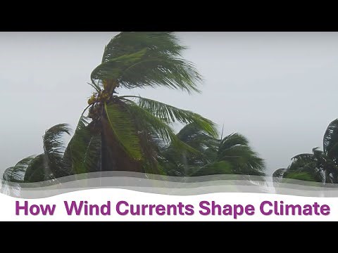 How Wind Currents Shape Earth's Climate 🌍💨