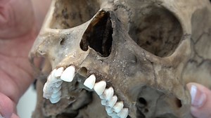 Inside The Body Farm: The dead do speak