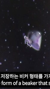 Professor Lee, Chang-eon Daegu Hanny University Division of Cosmetic...