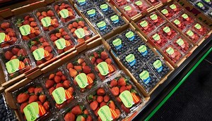 NetCost Market on East 16th St. in Brooklyn, NY