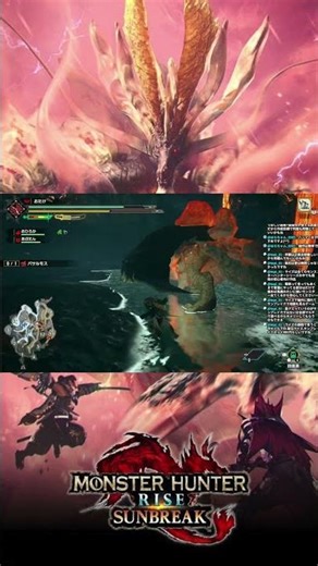 【スイッチ２】これは夢を見過ぎか？【モンハンライズ】