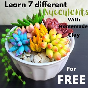 Learn 7 different succulent using homemade clay | CreativeCat