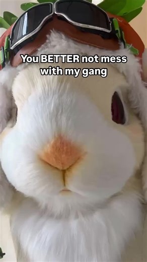 Don’t mess with Larry(👁ˋ _ ˊ 👁) 💡Visit our website to explore more fursuits—we have a wide range of styles, so you’re sure to find one you love! 💳 Payment plans accepted 🌍 Global shipping Artist：🔨 #kig #kigfurry #kigfursuit #furry #fursuit #kemono #furrycommunity #fursona #fursuiters #cosplay #coser