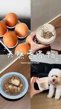 How to Make Natural Eggshell Powder for Pets🥚 #dogfreshfood #homemadedogfood #petnutrition