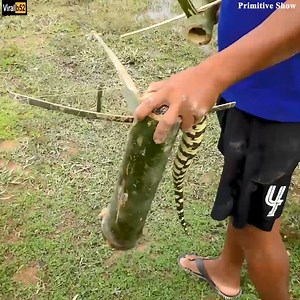 173K views | DIY Snake Trap Technology - Learning to make Bamboo snake trap Credit: Primitive Show - youtu. be/bys2xcKJ9g0 | Silver Bee Group | Facebook