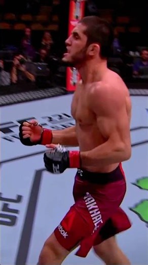 One punch knockout heavy boxing fighting