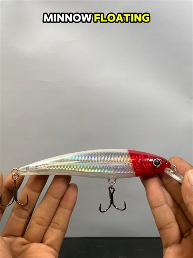 Effective Techniques for Fishing with Minnow Lures