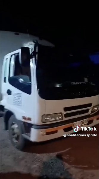 Comprehensive Guide to Various Layer Types in Cooking