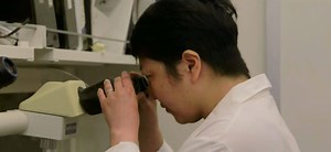 5.5K views · 35 reactions | Photosensitivity affects 30 to 60 percent of people with lupus, and currently has no underlying cause. What have researchers found? | Hospital for Special Surgery | Facebook