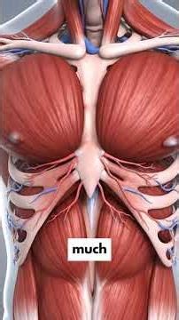 This is what you need to know about working out #fitness #motivation #workout