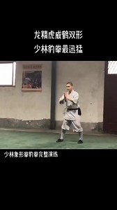 2.9K views · 476 reactions | Excellent Leopard Kung Fu, a style of...