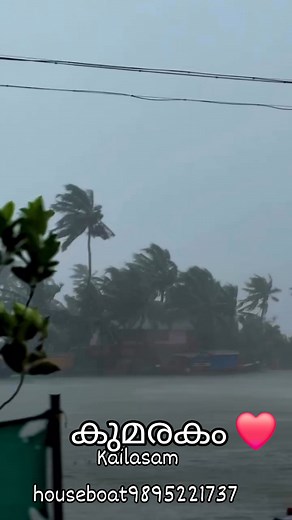 539 reactions · 38 shares | മനോഹരമായ മഴവില്ലിലും പേടിപ്പെടുത്തുന്ന മഴയും കോട്ടയം കുമരകത്ത് | Ni Nishanth Mv | Facebook