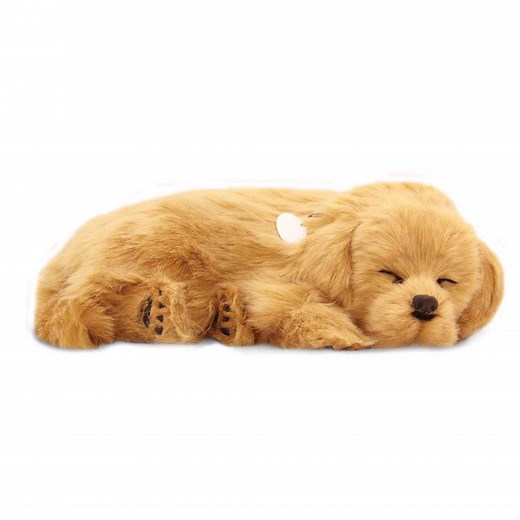 Golden Retriever Puppy by Perfect Petzzz