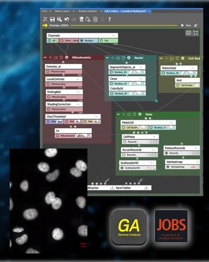 #nis20 #nikonmicroscopy #imagingsoftware #microscopy #niselements | Nikon Microscope Solutions