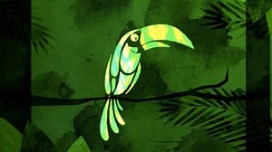 2.9K shares · 96 comments | 100 bird species are near extinction in the amazon. #StartWith1Thing via Discovery News #RacingExtinction | Discovery | Facebook