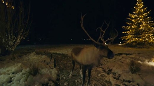 Blink TV Spot, 'Reindeer' Song by Bobby Tahouri