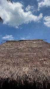 32K views · 388 reactions | Automatic door | Lalu Dodin Van Dorp | Facebook