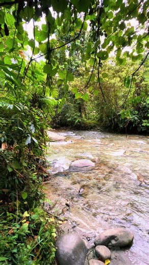 Anecdotes of rivers from the Hunjara Tribal Lands #nature #bio#pngtiktok🇵🇬