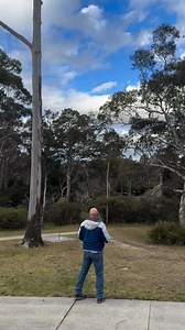 Birds’ haven, somewhere in Australia nature’s symphony in full bloom. | Adeel ch’s Aviary