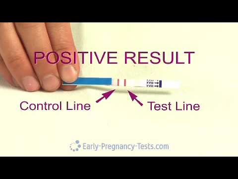 Pregnancy Test Strip
