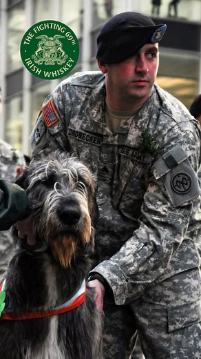 More than just man’s best friend. The Fighting 69th Infantry is well known for its use of Irish Wolfhounds to serve the United States. Today, on the official birthday of the United States K-9 Corps, Fighting 69th Irish Whiskey wants to recognize the heroism shown by all brave and loyal military dogs. #K9VeteransDay | Fighting 69th Whiskey
