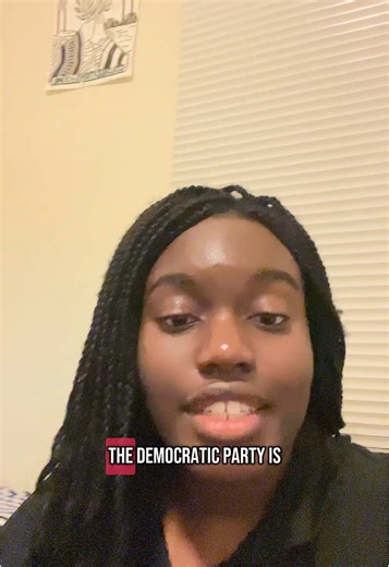 Understanding American Leftists in Politics