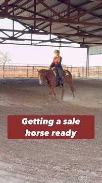 A lot goes into getting a horse ready for the sale market.