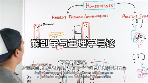 解剖学与生理学导论_哔哩哔哩_bilibili
