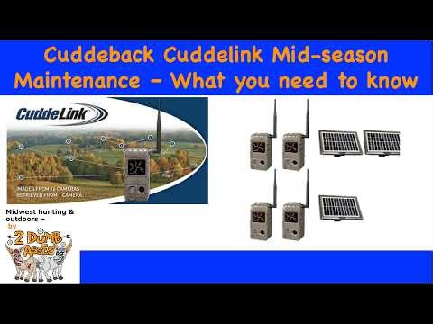 Cuddeback Mid-season maintenance - What you need to know...