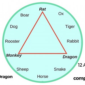 The 12 Chinese animal signs and their compatibility (friends and conflicting signs) — Picture Healer - Feng Shui and fortune telling
