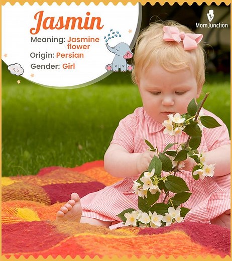 Jasmin Name Meaning, Origin, History, And Popularity