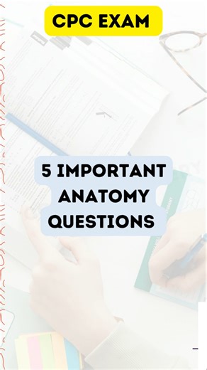 Top 5 Anatomy Questions for CPC Exam | Must-Know Prep! #shorts