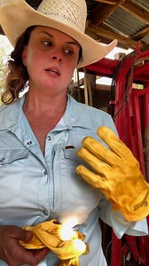 New World Screw Worm has been the topic in ranching! #newworldscrewworm #cattle #ranching | Nikki - The Farm Wife The Farm Life