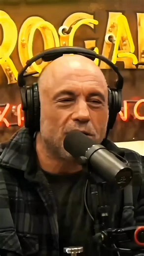 Understanding Australian Shepherd Behavior and Traits