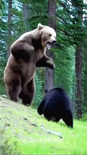 Wildlife Turns Brutal 😳 Lion vs Buffalo, Croc Ambush & Elephant Charge 🦁🐘 #Wildlife #Shorts