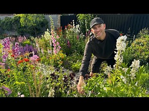 23 Perennials to Attract Pollinators | Perennial Garden