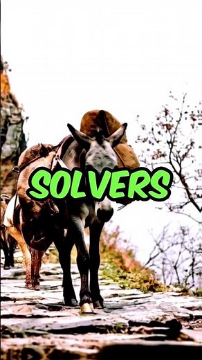 "Amazing Facts About Donkey 🐴 | Smart & Strong Animal of Nature